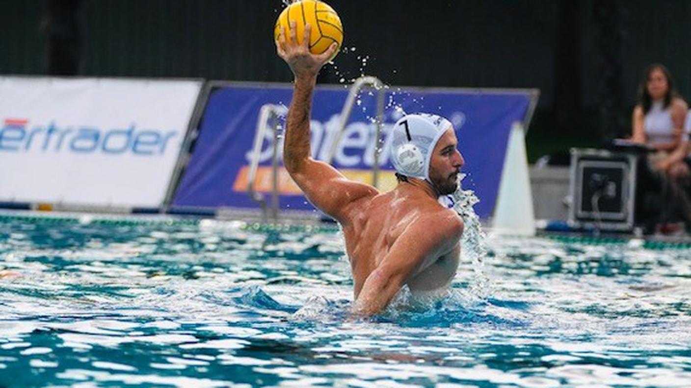 Lugano Sharks