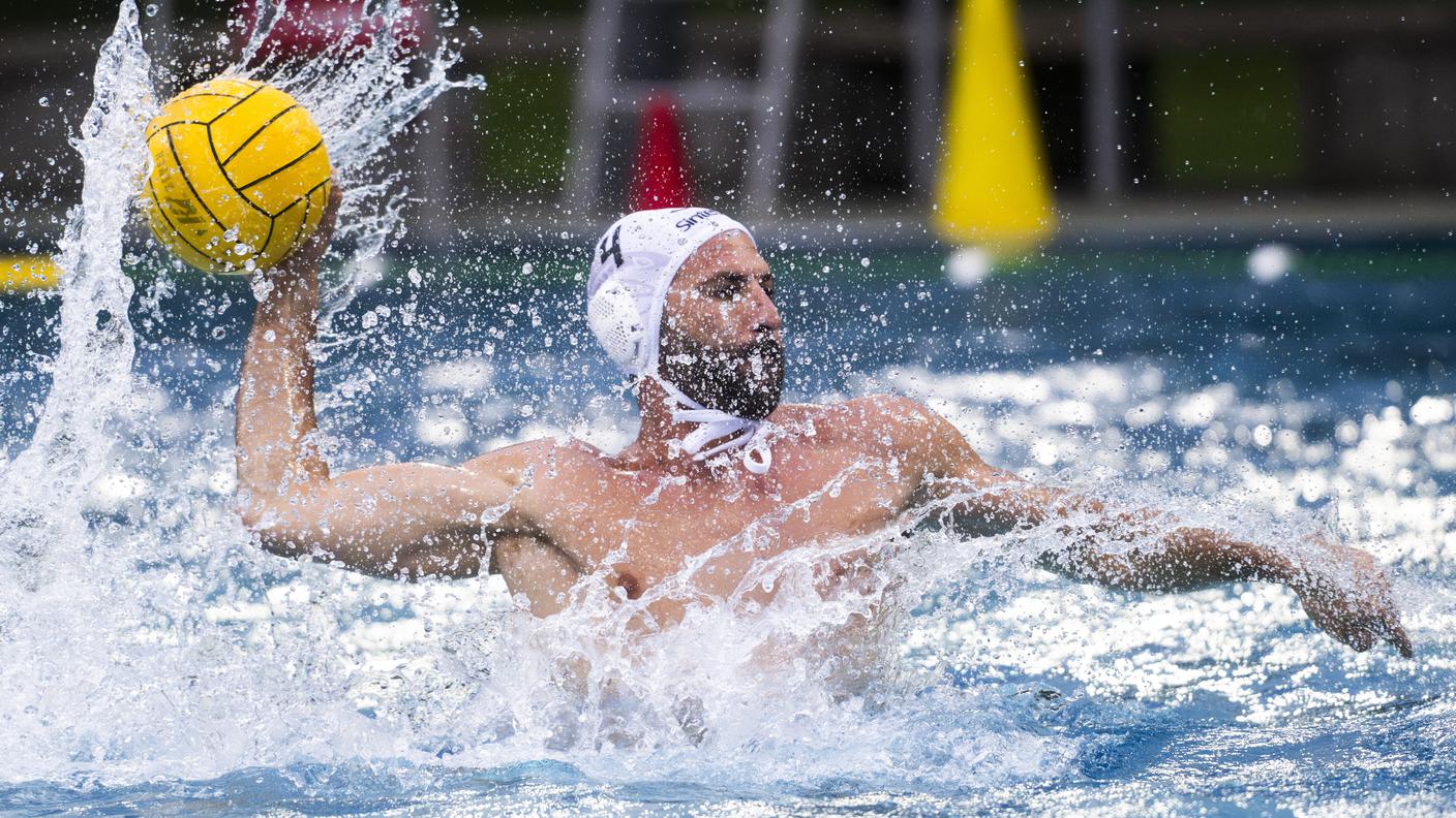 Lugano Sharks