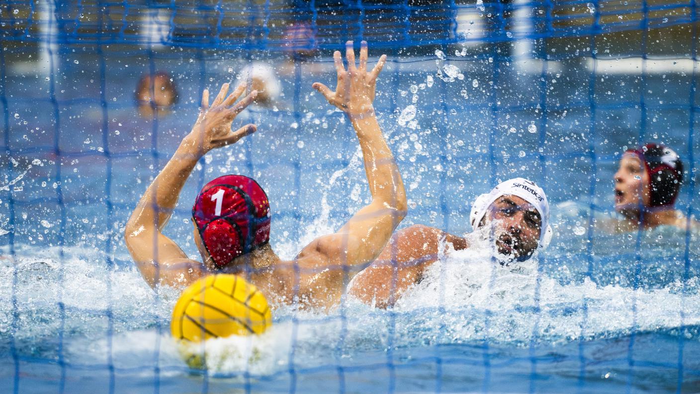Lugano Sharks