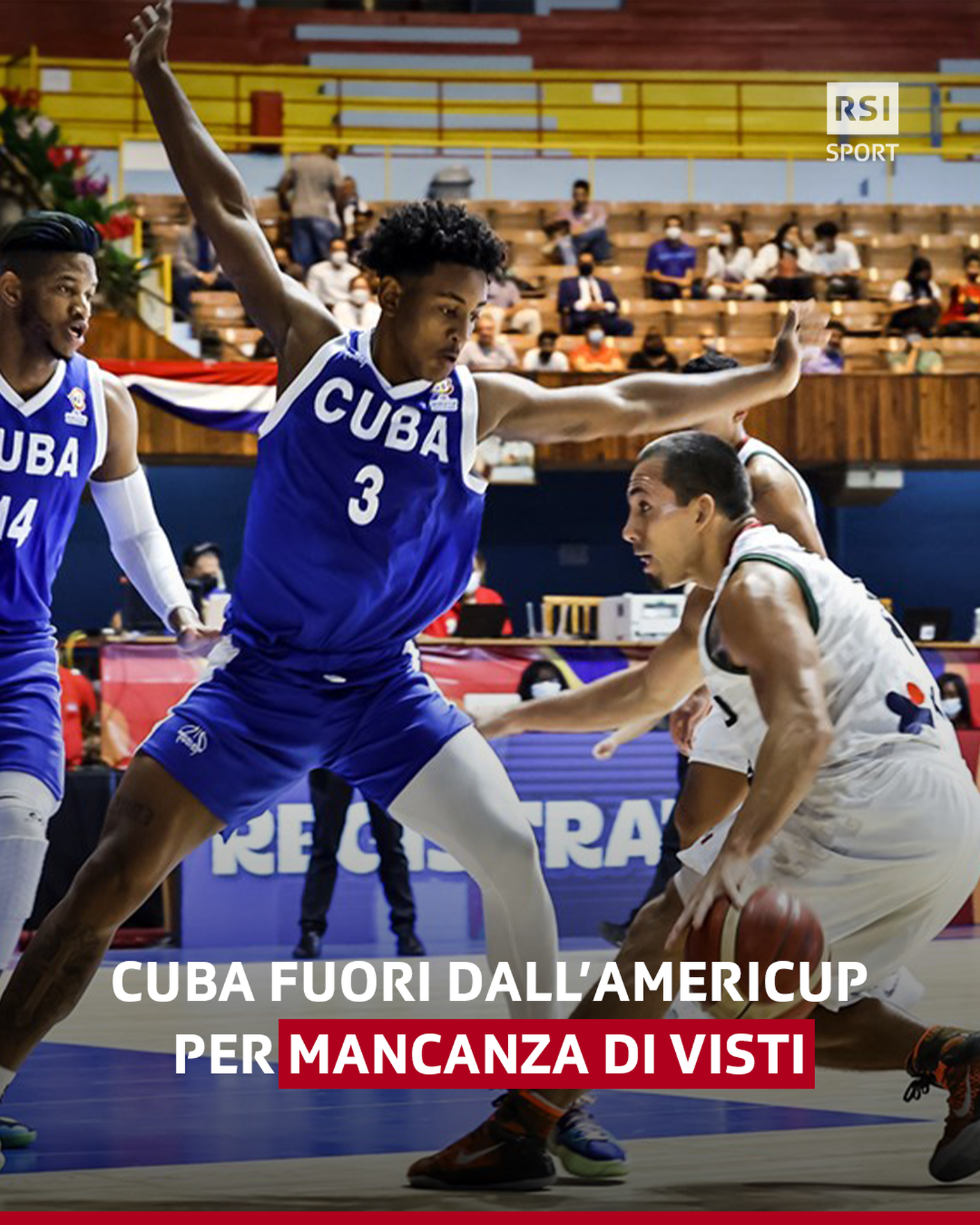 Curiosità3