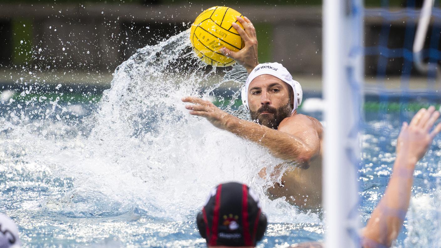 Lugano Sharks