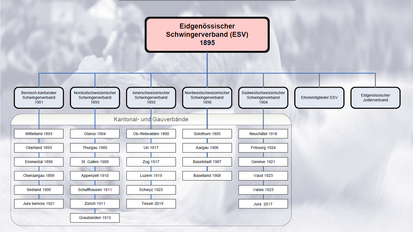 Schema Lotta svizzera