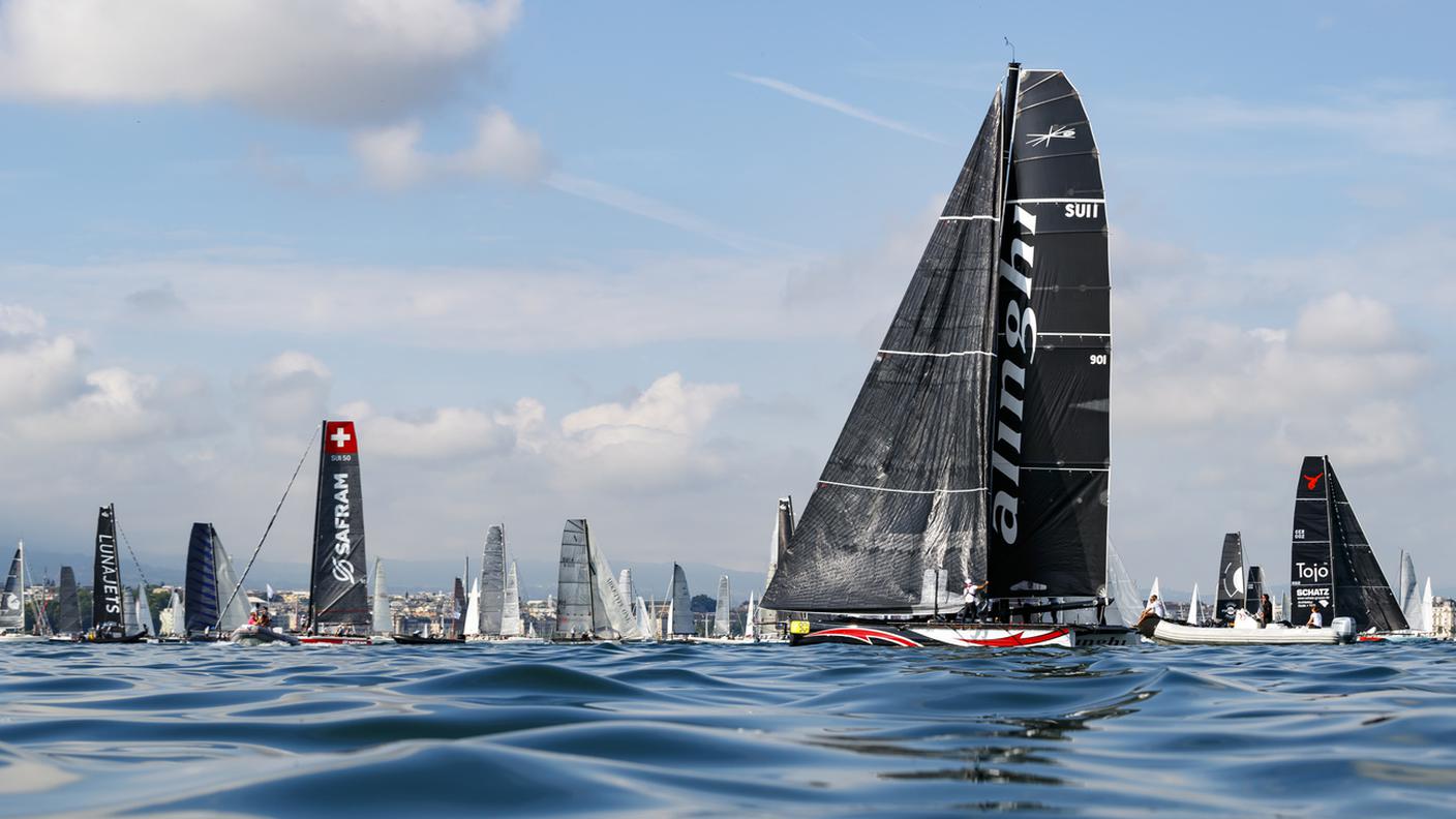 Alinghi