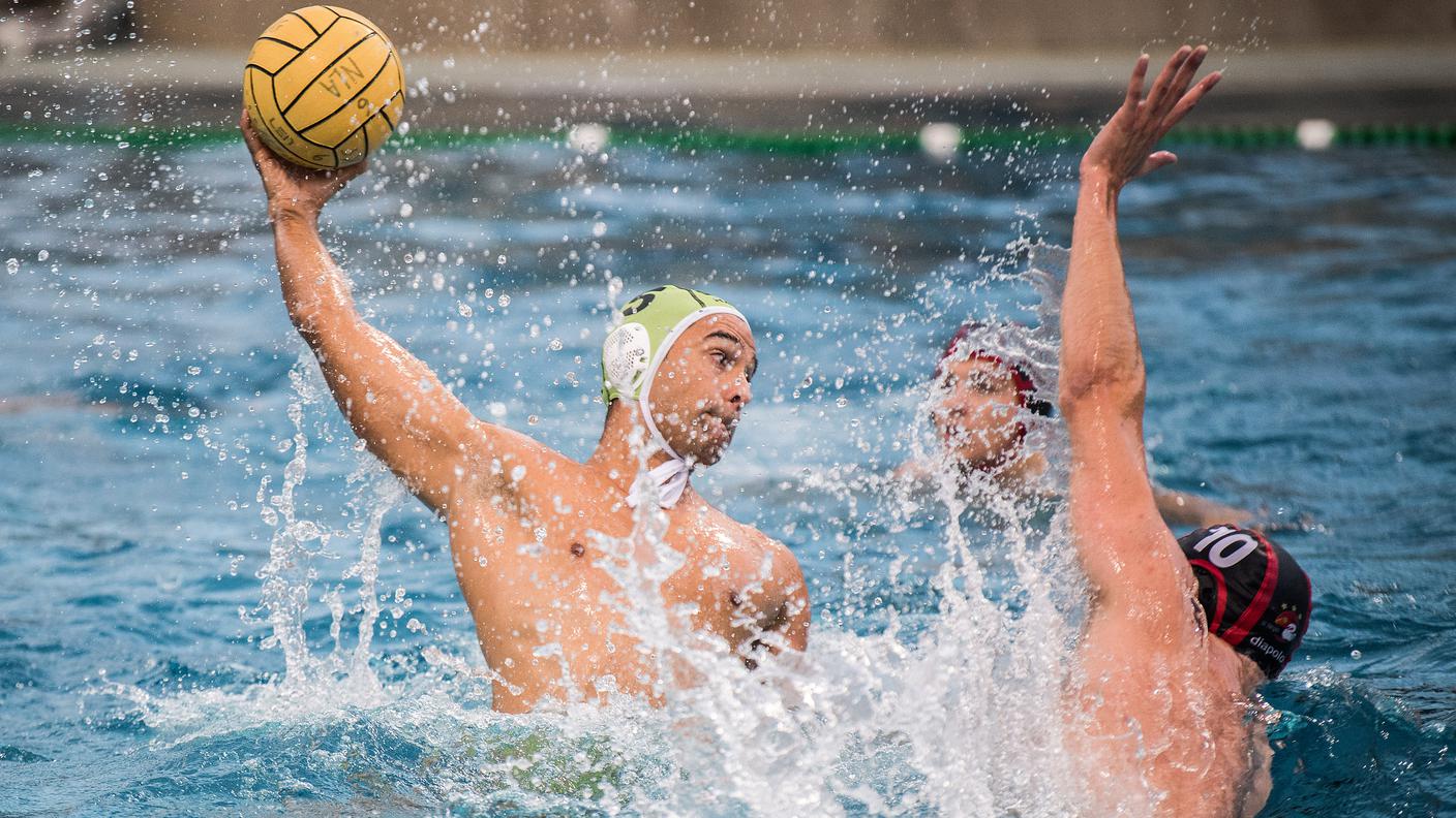 Lugano Sharks
