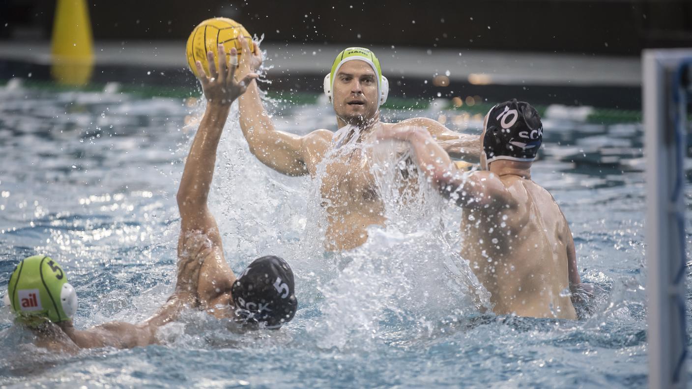 Sharks Lugano
