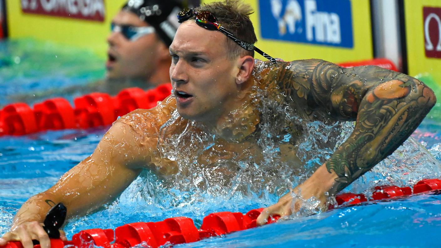 Dressel