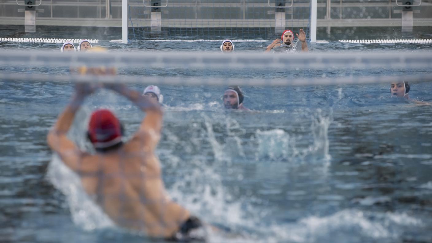 Pallanuoto Lugano