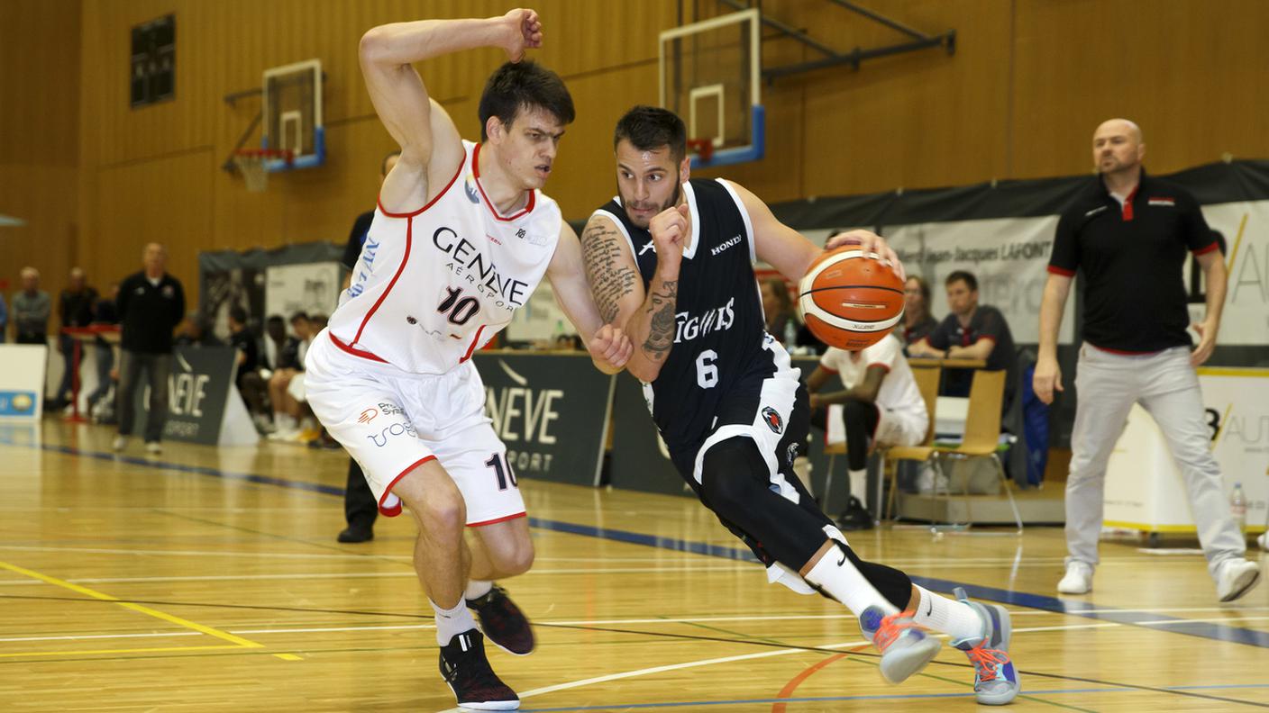 Nikola Stevanovic