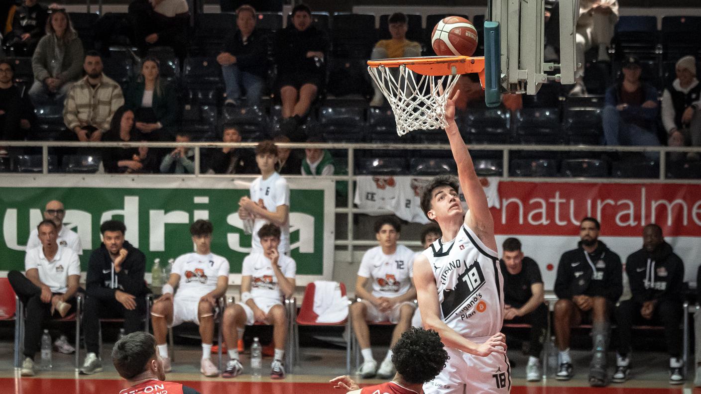 Bernaschina a canestro