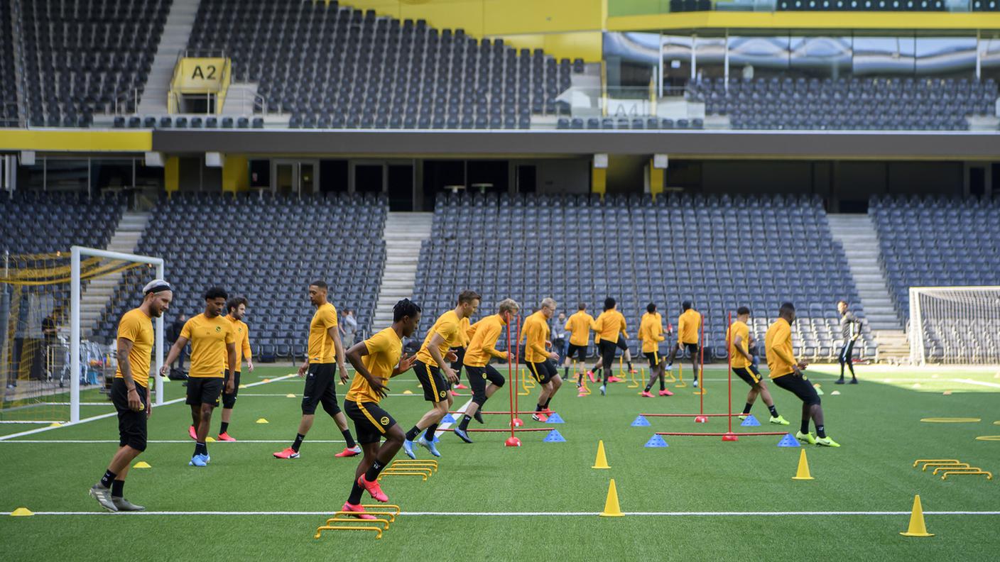 Young Boys