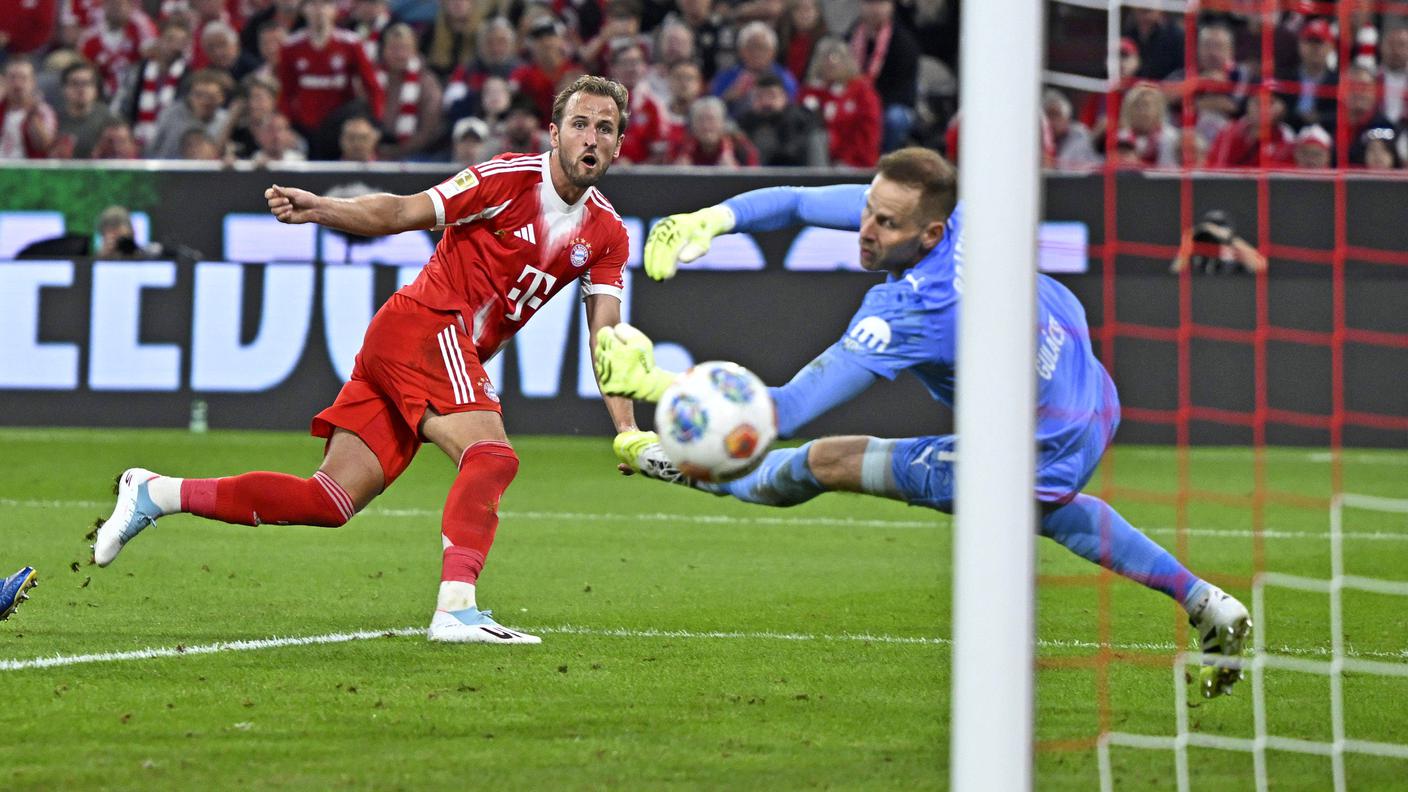 harry kane