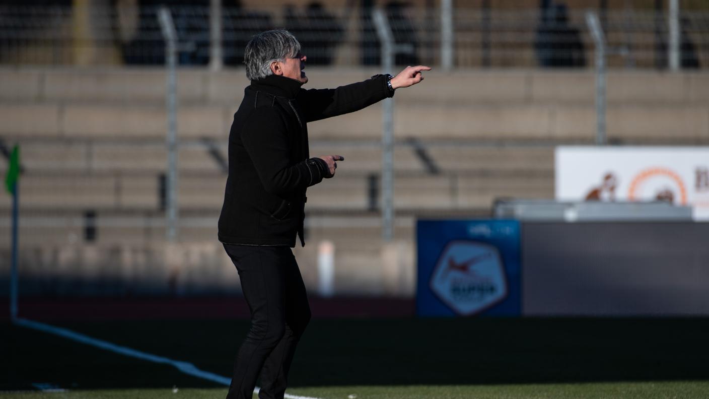 Maurizio Jacobacci