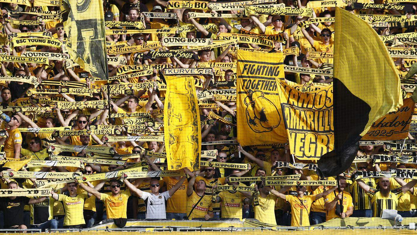 Young Boys fans