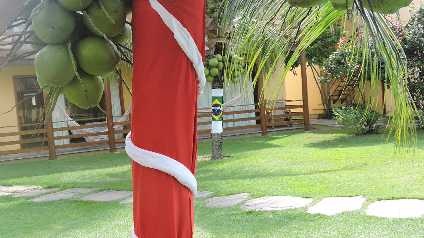 Le palme vestono i colori di Sivzzera e Brasile
