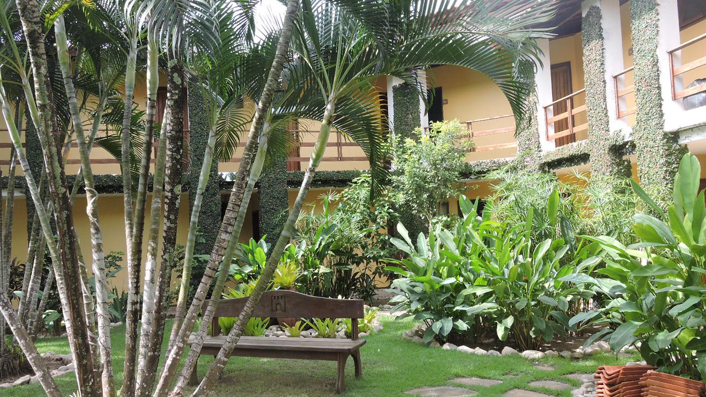 Oasi verde