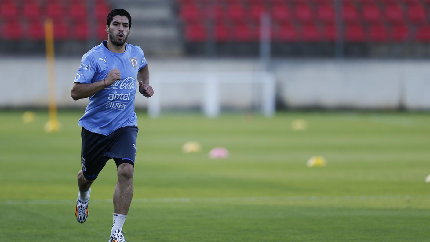 Luis Suarez