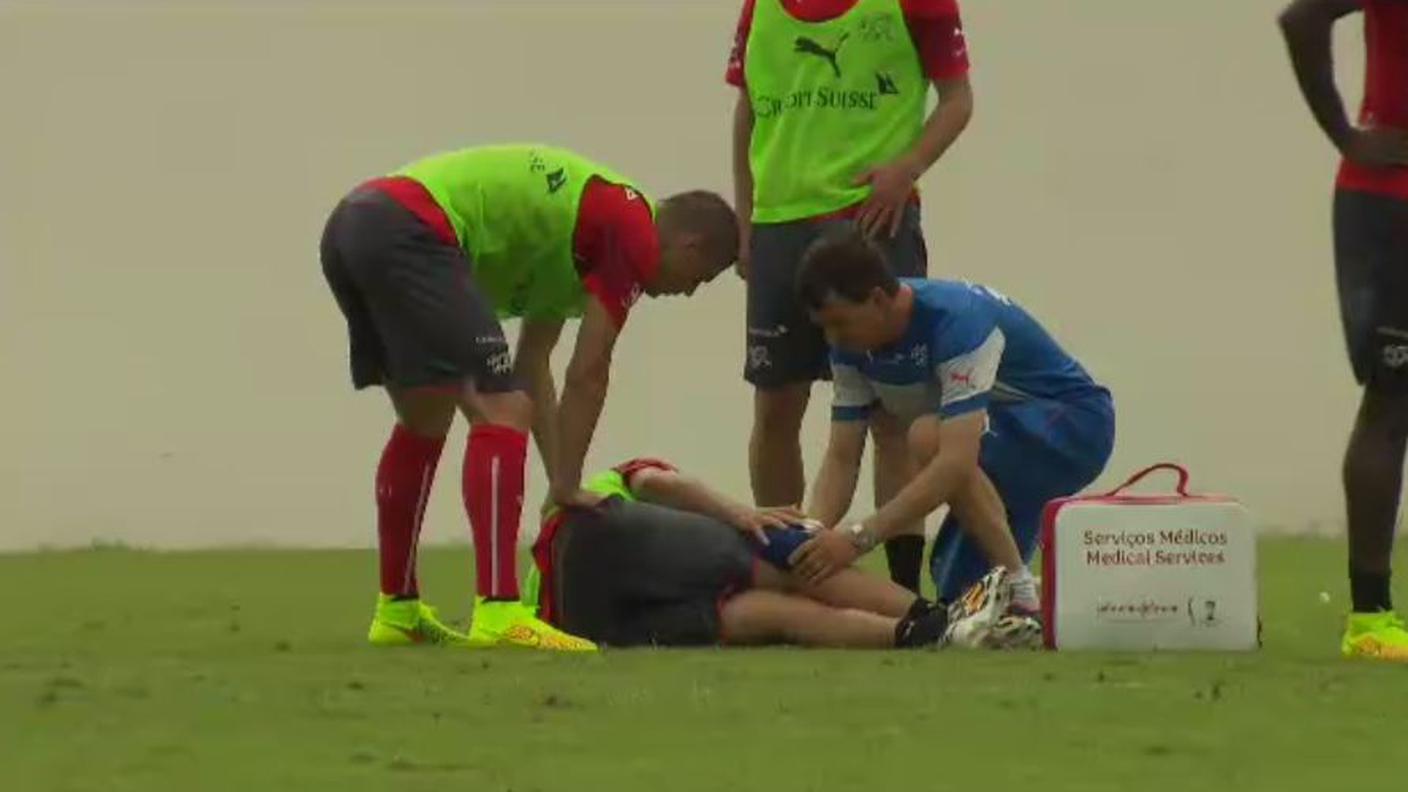 Mario Gavranovic