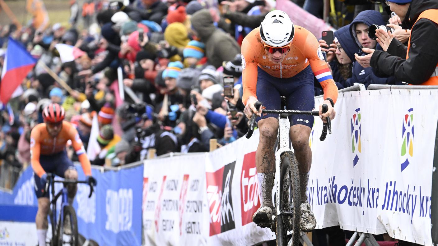 van der poel