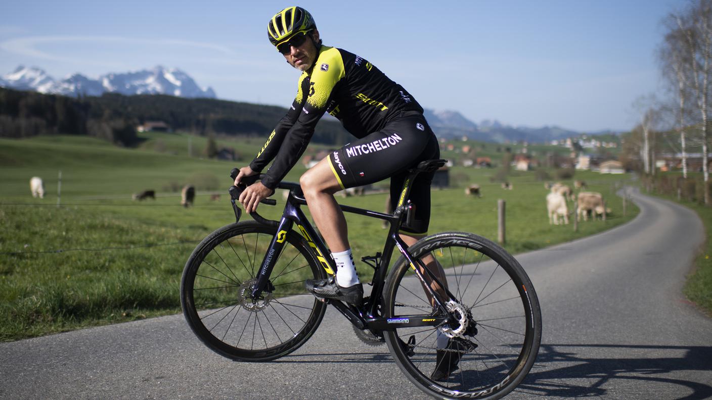 Albasini