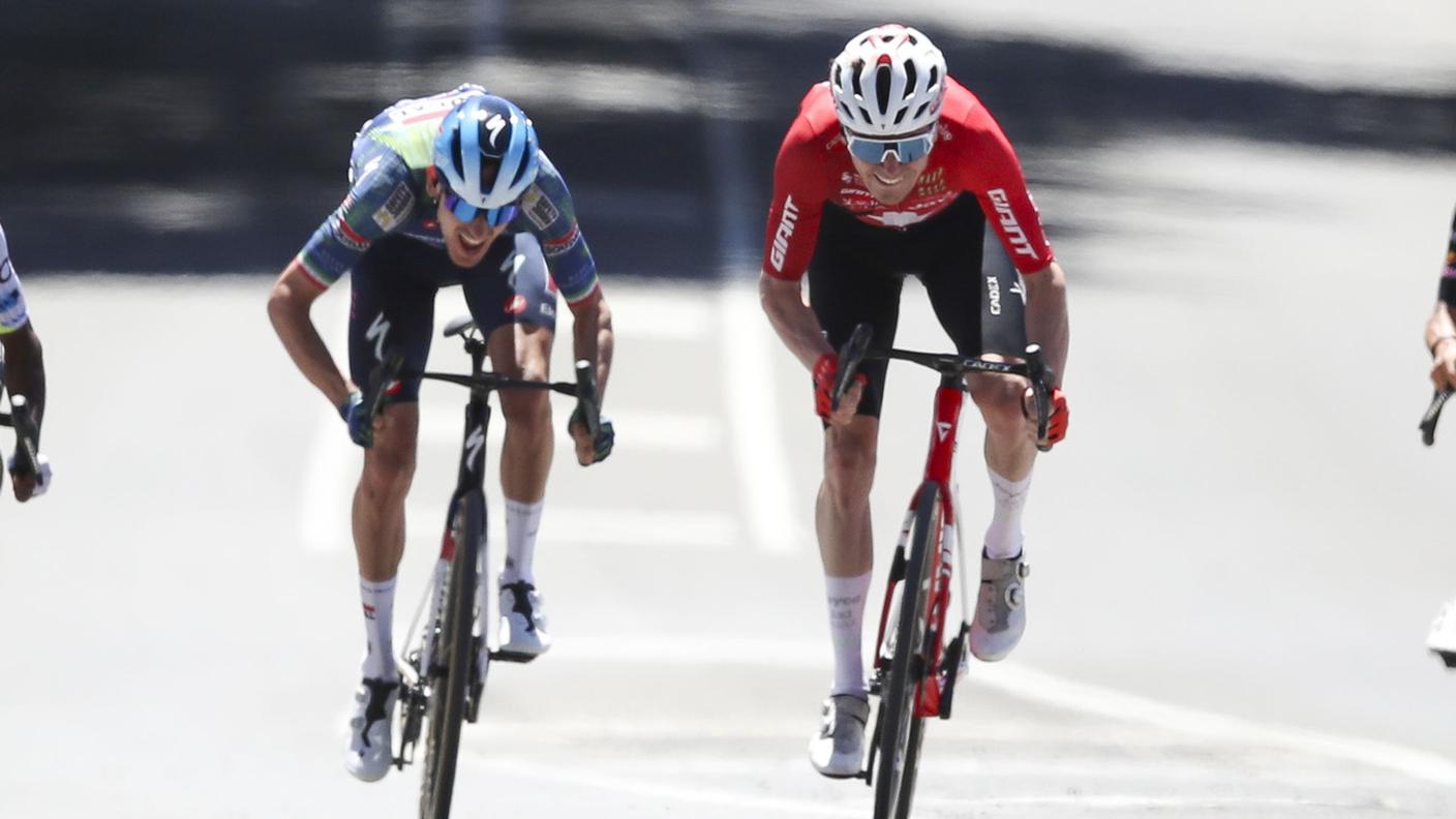 Il rossocrociato in azione