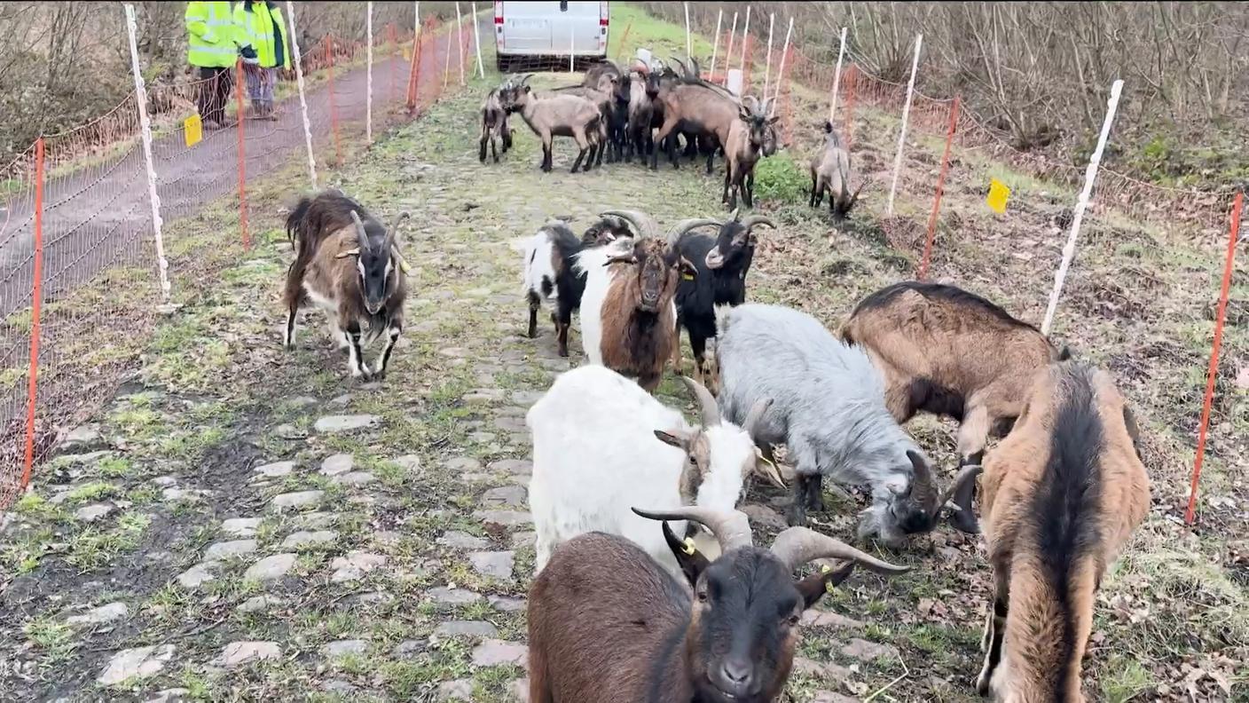 1776015868545_54bebfbcaa6add33695653790fc14339