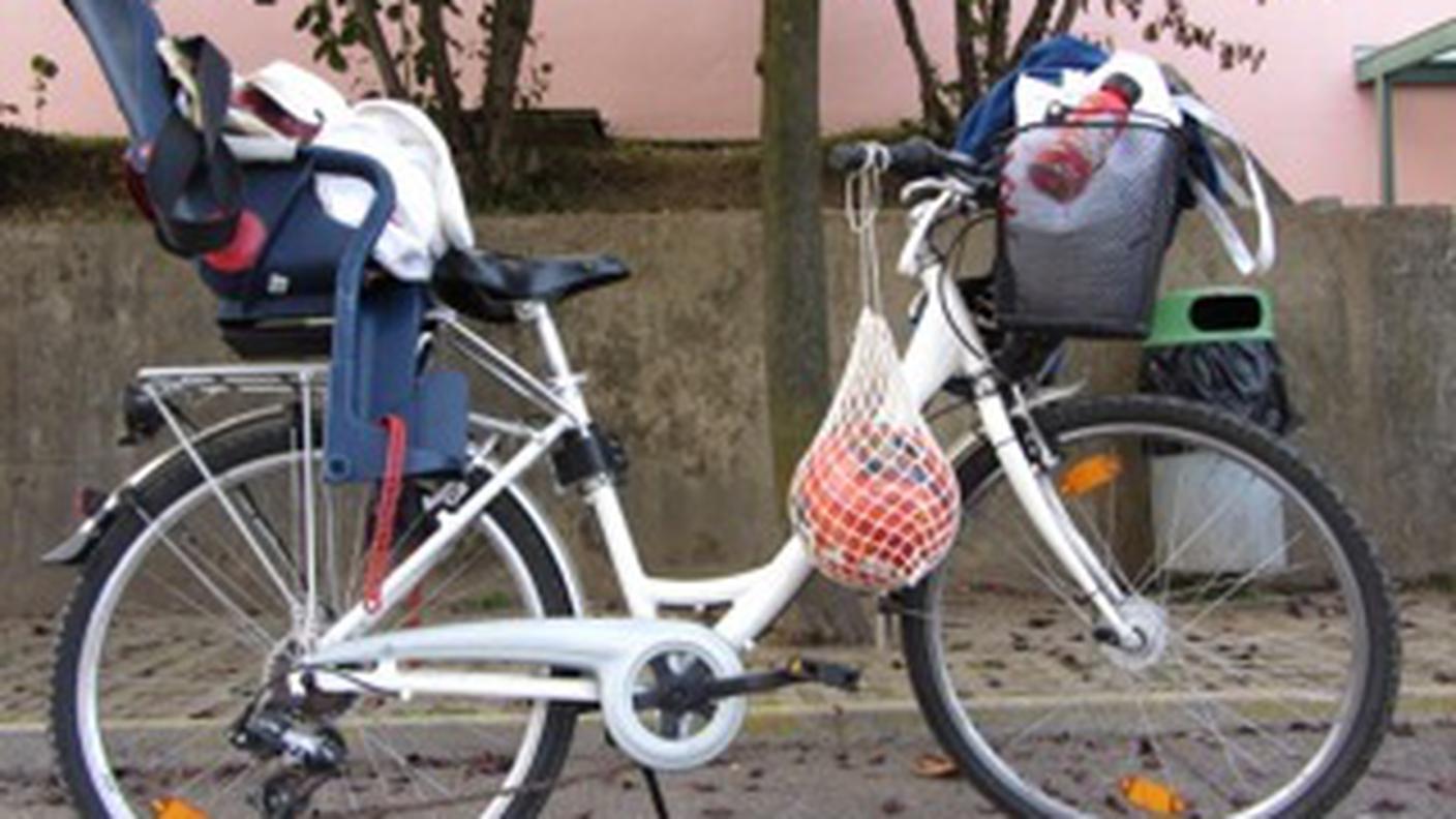Bici da soma