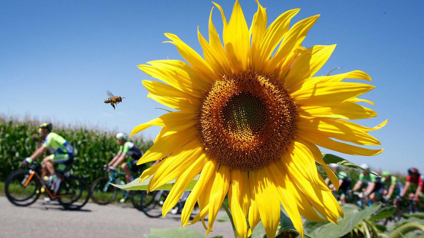 Tour de France