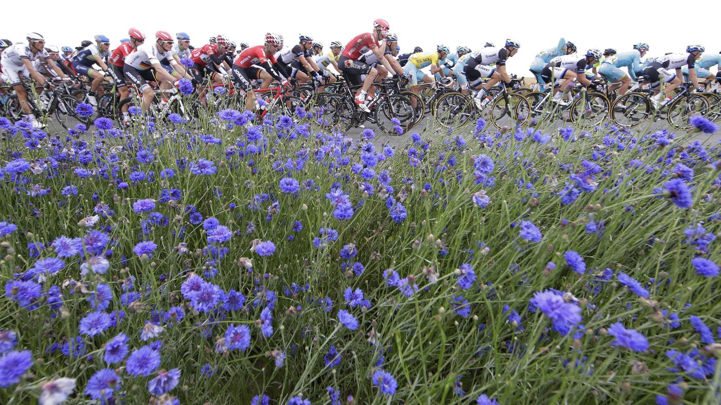 Tour de France