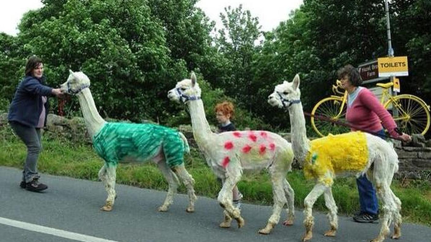 Tour de France