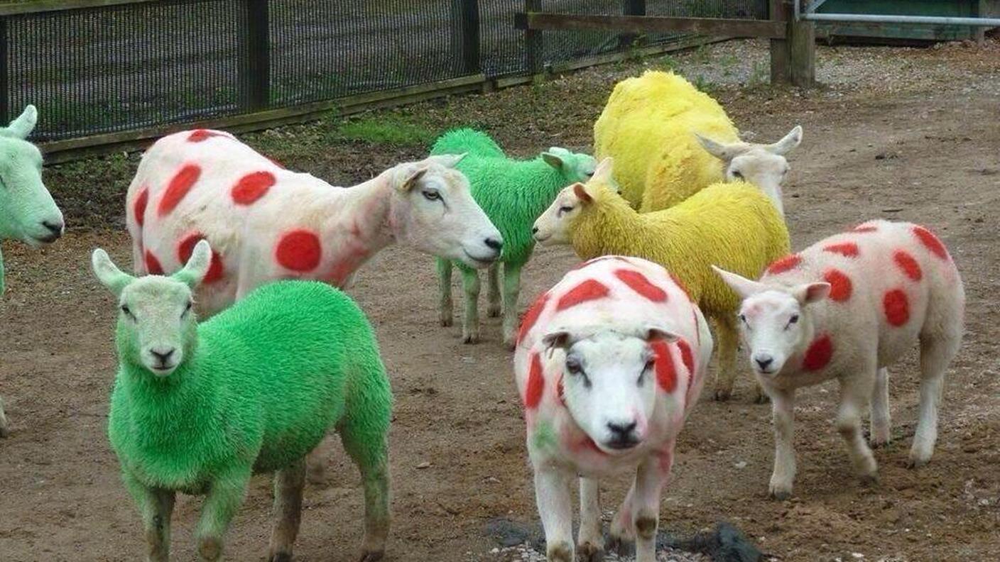 Tour de France