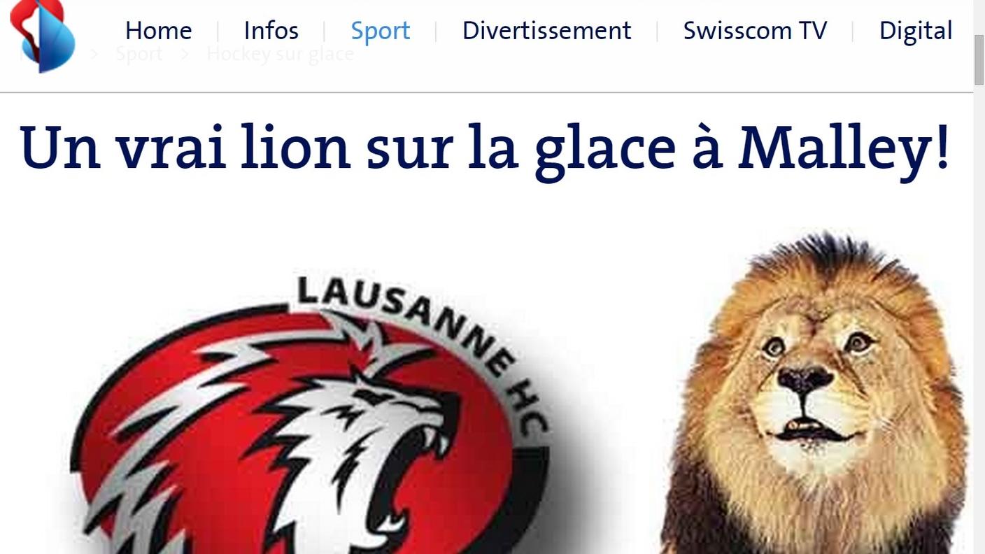 Bluewin annuncia che un leone scenderà sul ghiaccio a Losanna