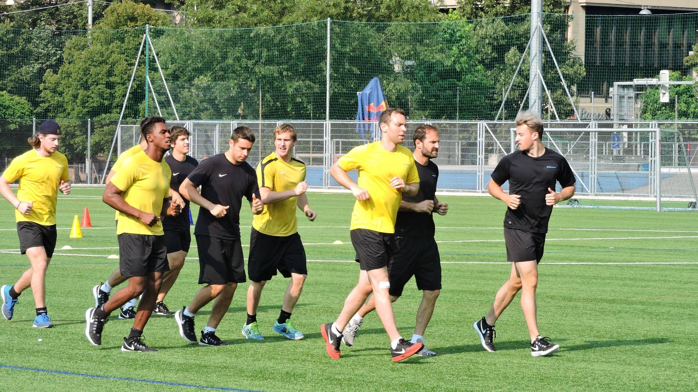 Preparazione Lugano