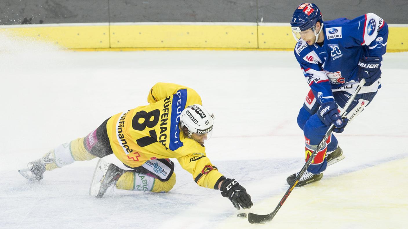 Di nuovo in maglia Lions