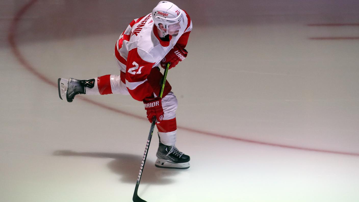 Il 31enne vanta 206 prsenze in NHL