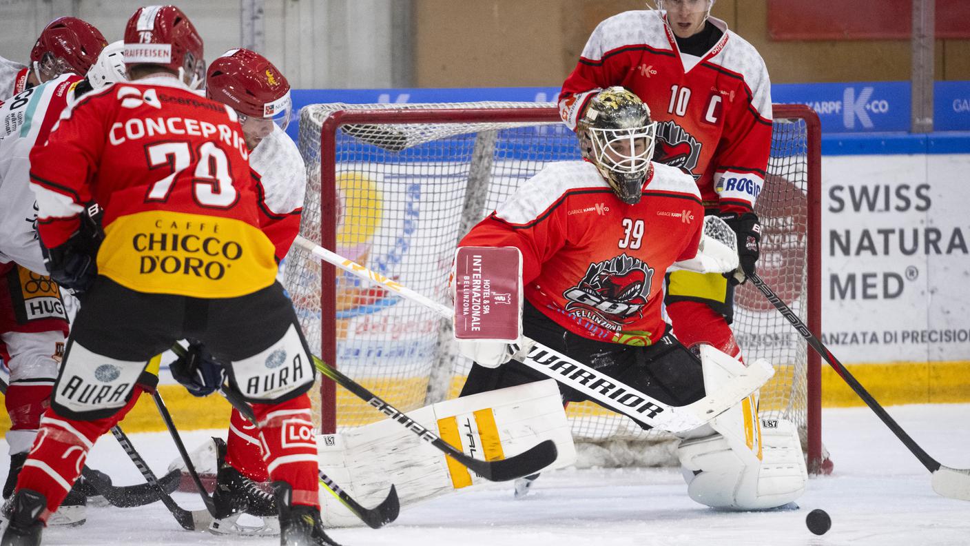 GDT Bellinzona Snakes