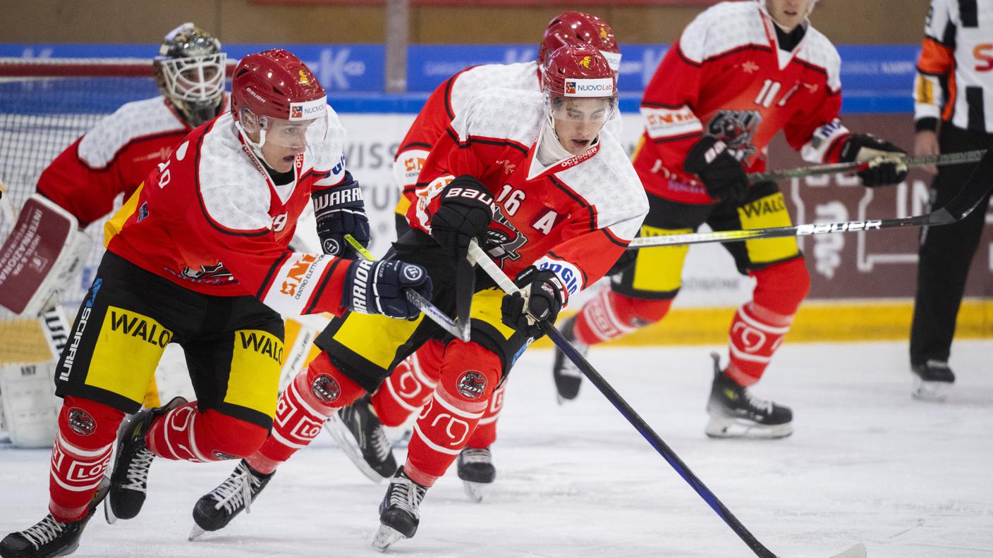 gdt bellinzona snakes