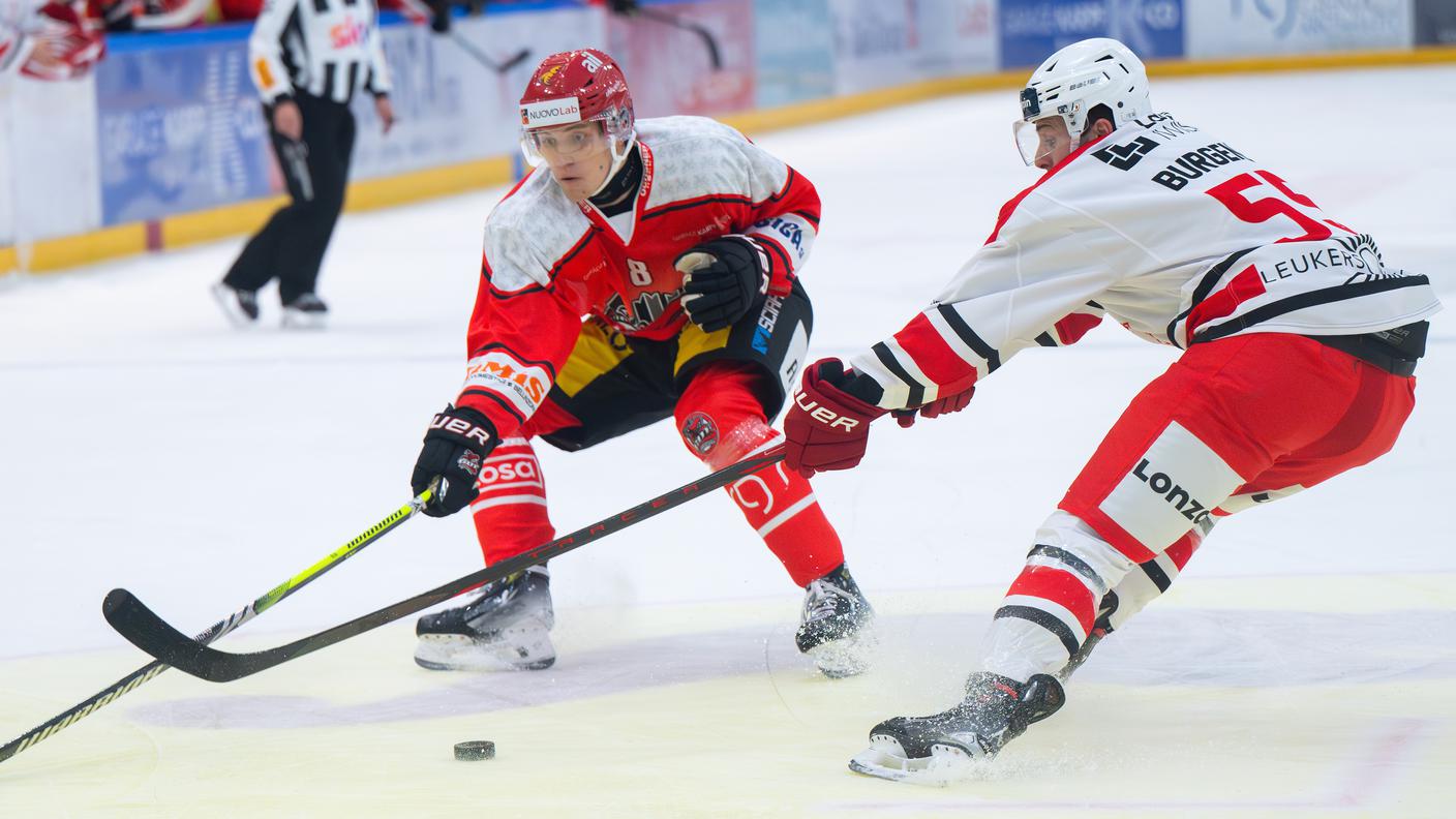Bellinzona Snakes