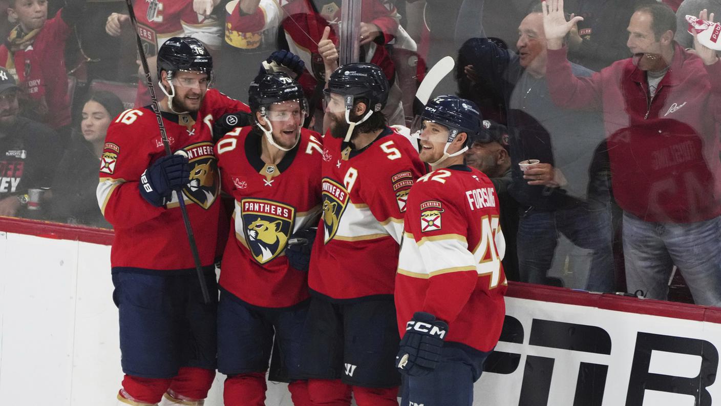 florida panthers