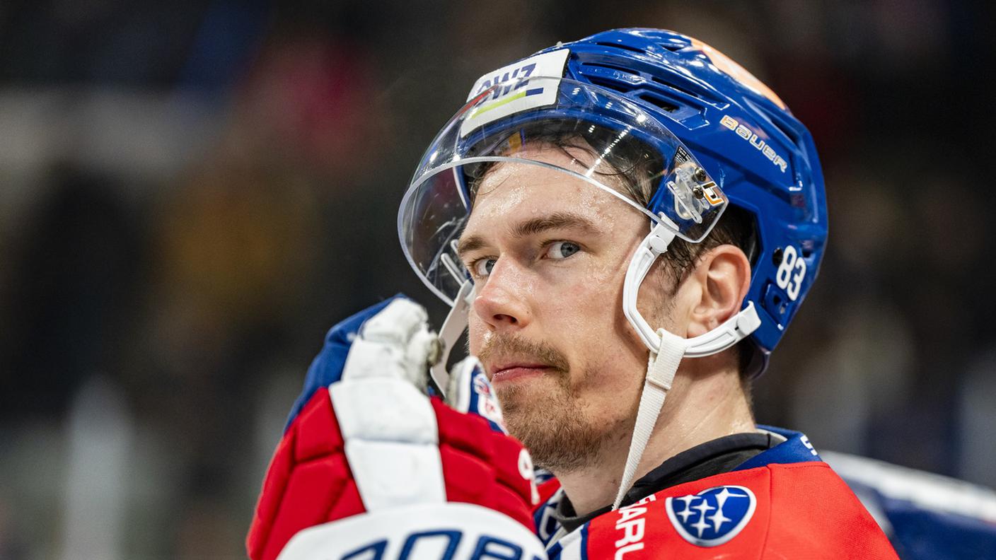 Lammikko