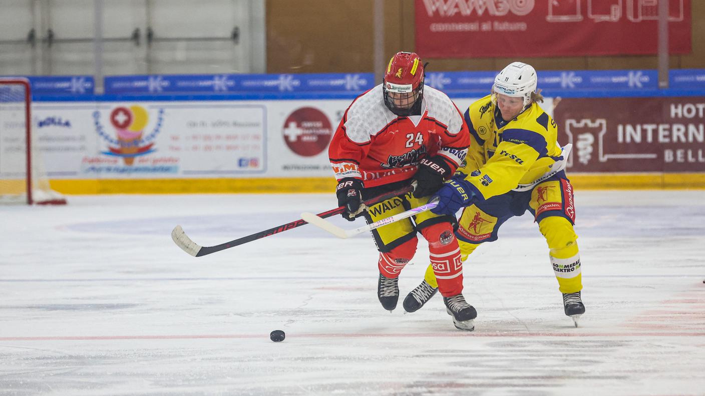 Snakes Arosa.jpg