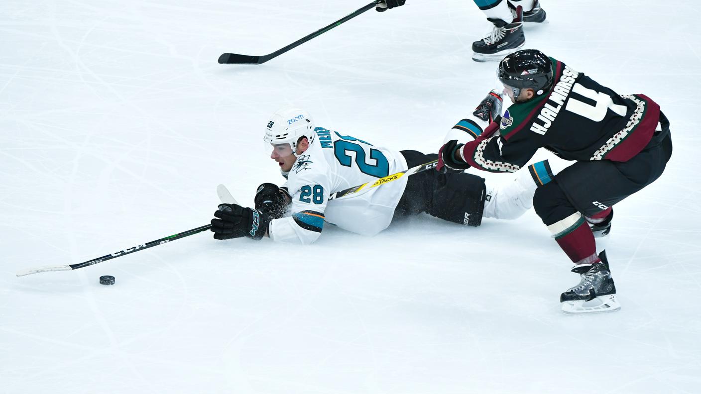 Timo Meier