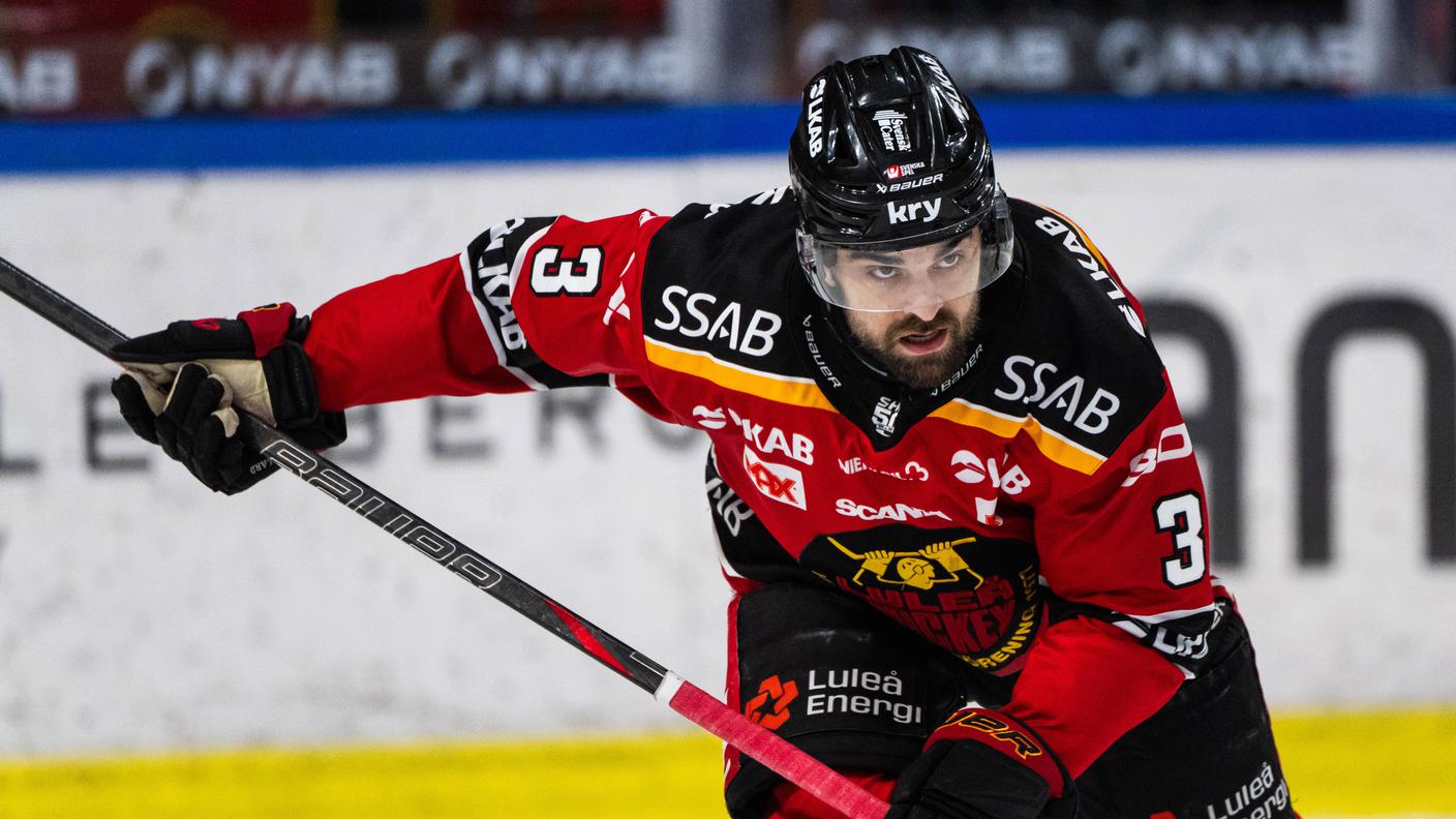 Ha disputato 4 incontri in NHL