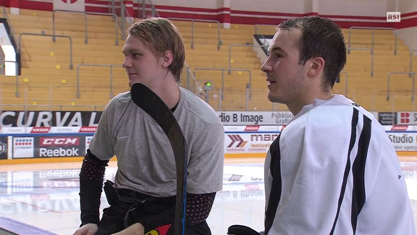 Bertaggia e Andersson