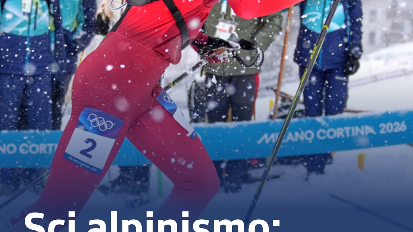 Standard - grande (10).png