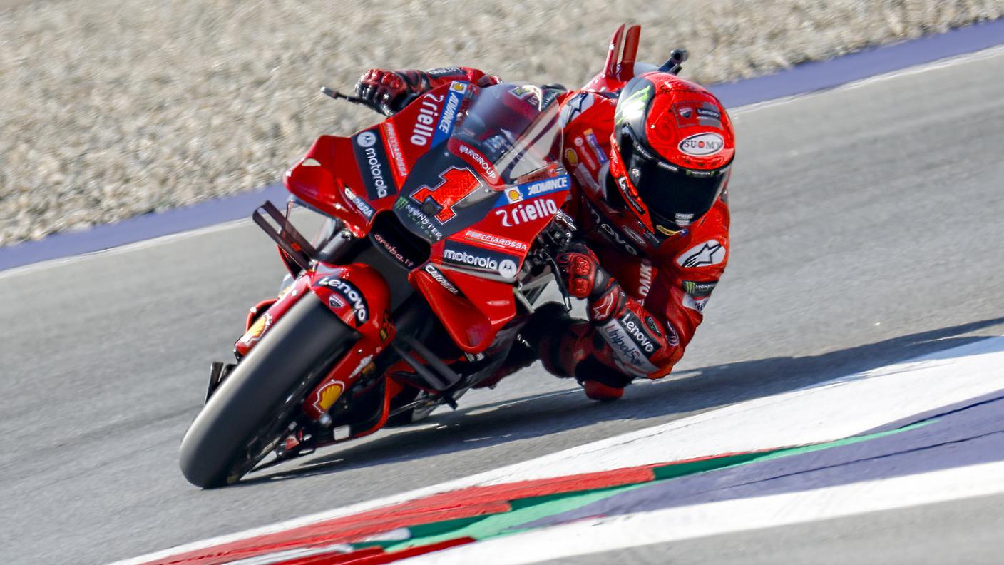 pecco.jpg