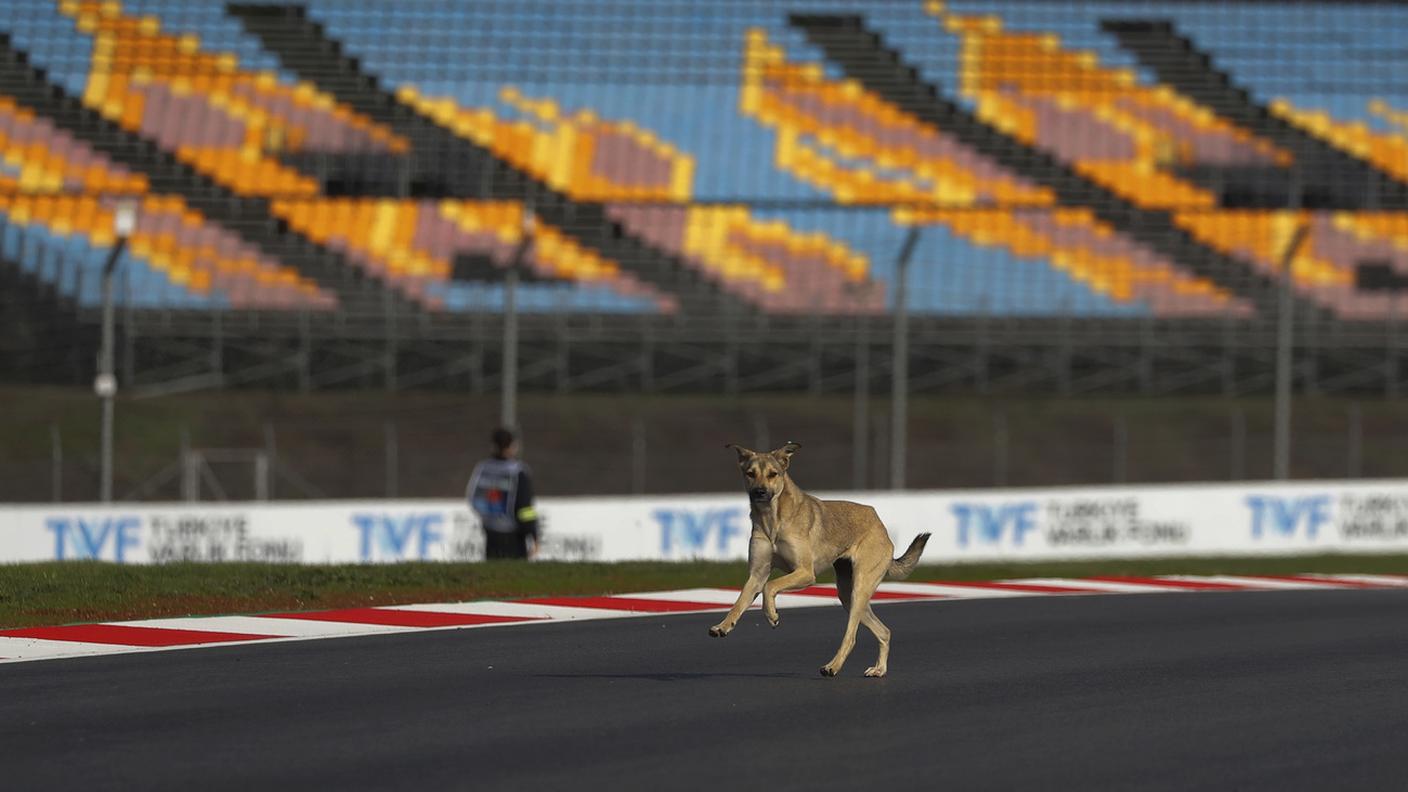 Nemmeno un cane quest'anno sul circuito turco