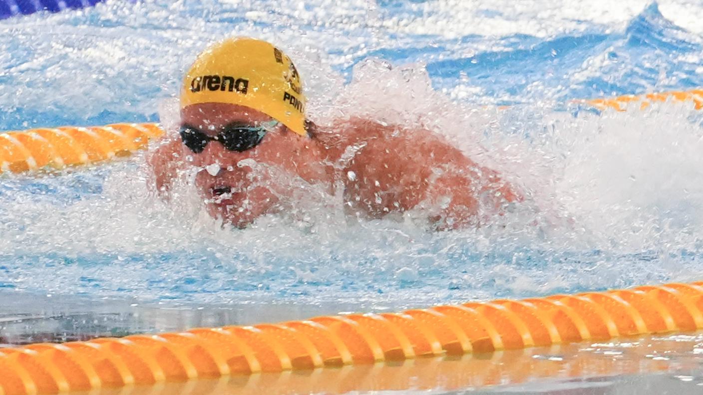 noè ponti