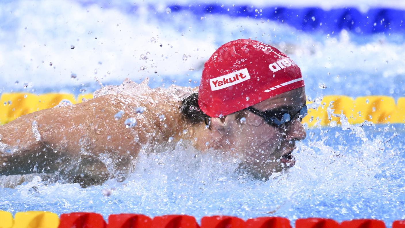 noè ponti
