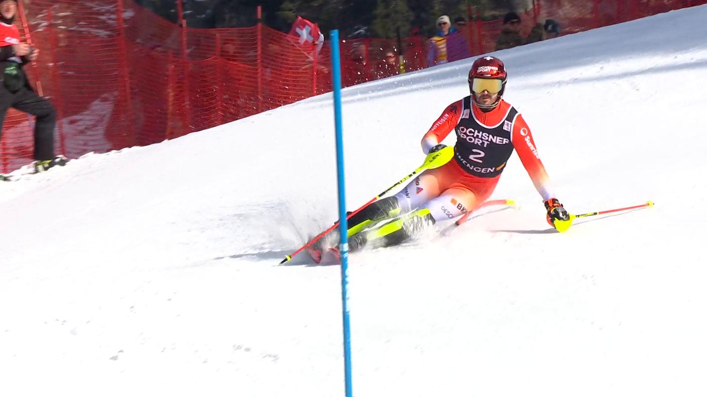 1768740399496_961c8e4ba3271defb413f16b34914474