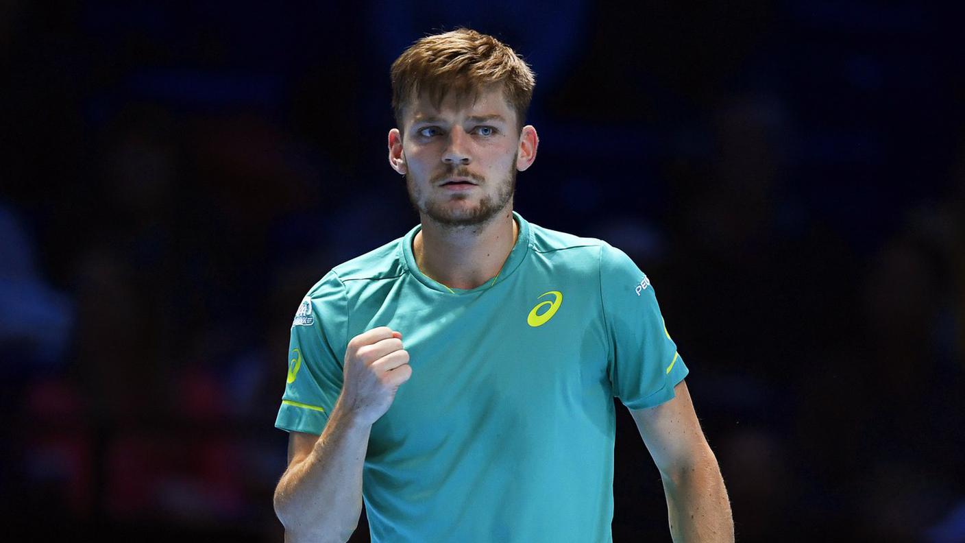 Goffin